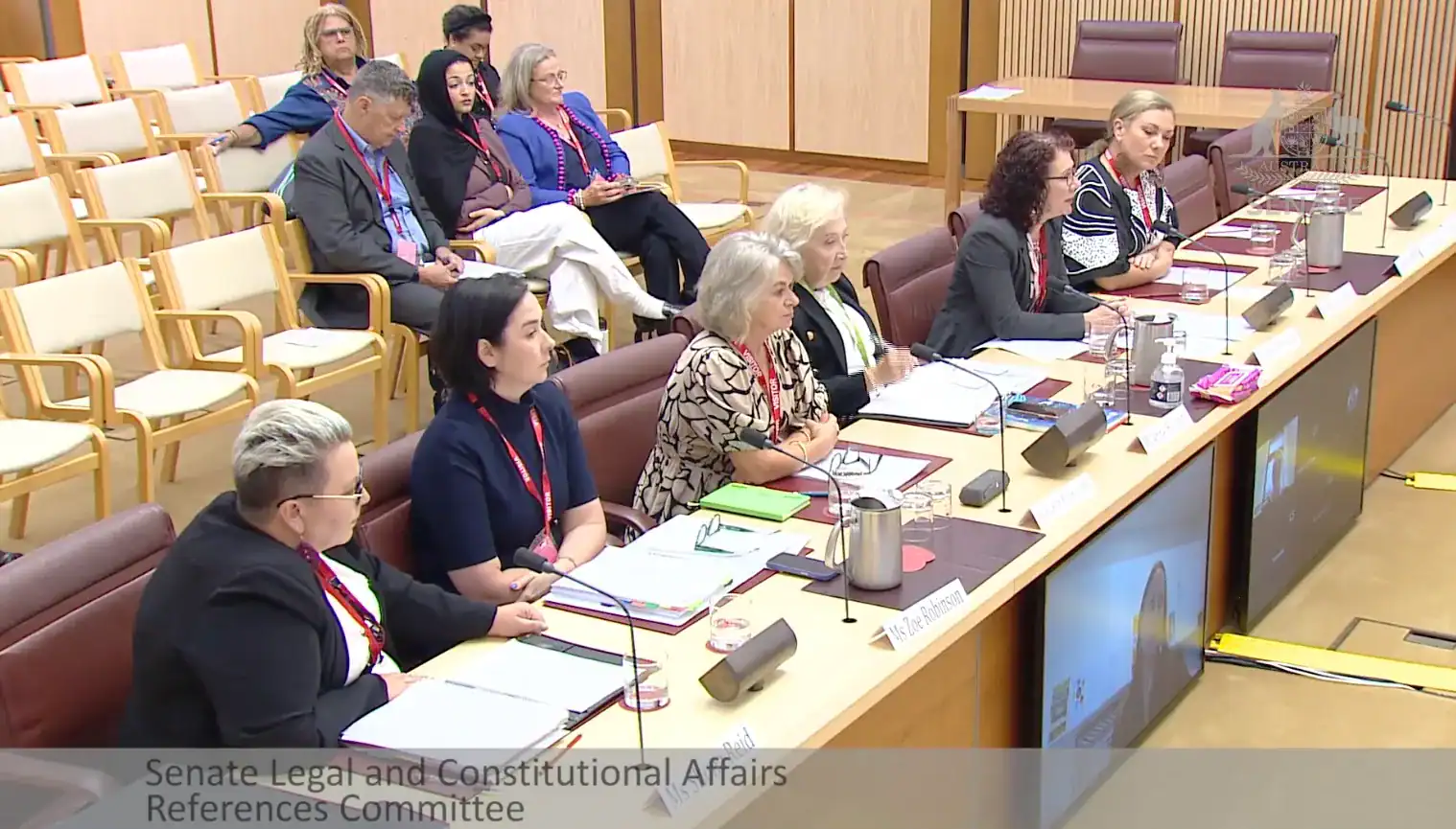 Panel of experts and advocates discussing youth justice issues in a formal hearing.